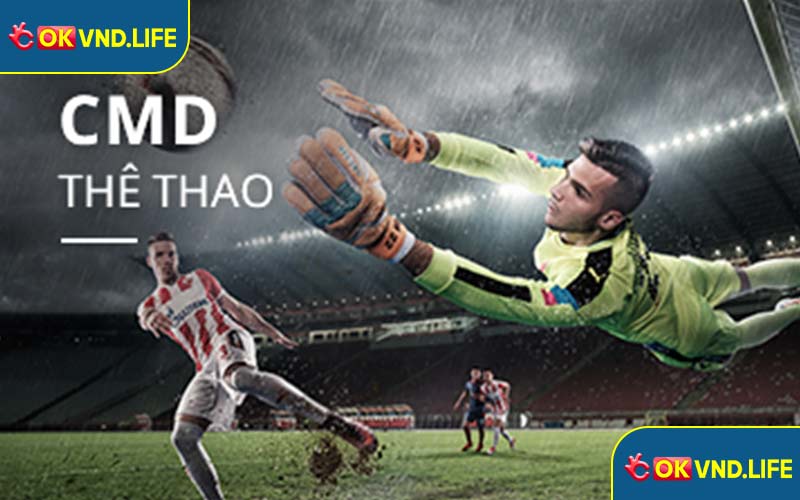 CMD Thể Thao